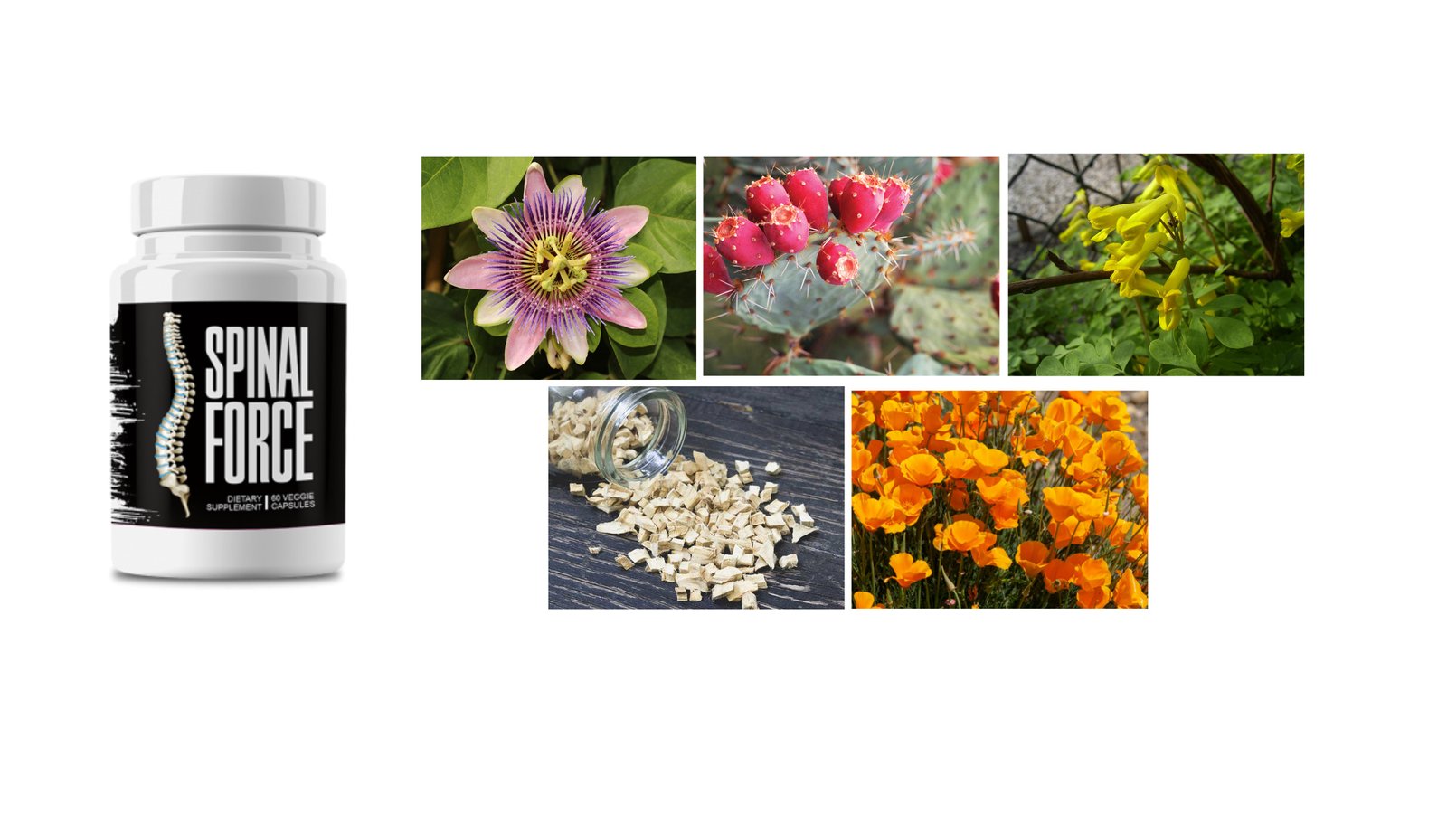 Spinal Force ingrediants
